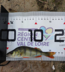 photo prise 38310 par GuiZ viens on pêche