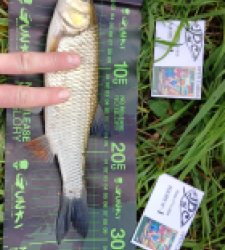 photo prise 38362 par Theo-fishing16