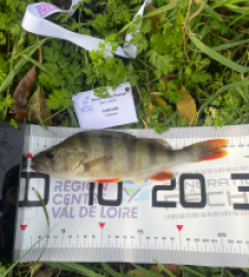 photo prise 38429 par Cletus18