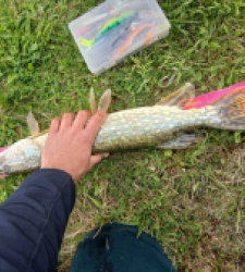 photo prise 39055 par FL Fishing