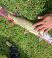 photo prise 39056 par FL Fishing