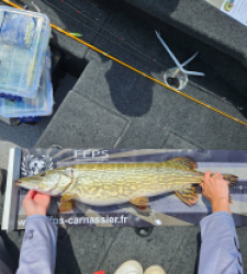 photo prise 39231 par Kroko_fishing_83 