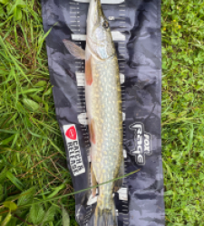 photo prise 39302 par Rimshot12
