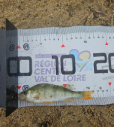 photo prise 39816 par Pecheur d'eau douce
