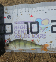 photo prise 39821 par Pecheur d'eau douce
