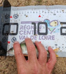 photo prise 39860 par Christophe