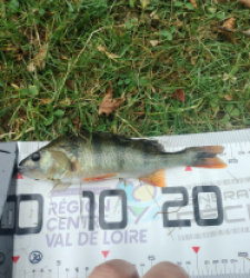 photo prise 39894 par Flo