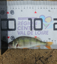 photo prise 39927 par Pecheur d'eau douce