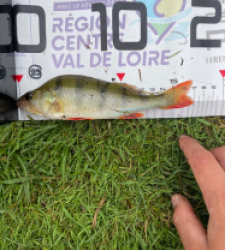 photo prise 39943 par Lucas
