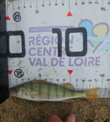photo prise 39946 par Pecheur d'eau douce