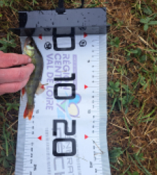 photo prise 40001 par FISH1MAX