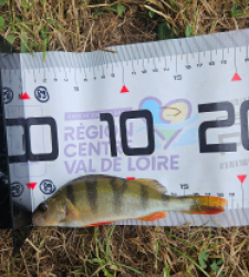 photo prise 40067 par Pecheur d'eau douce