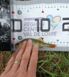 photo prise 40076 par bardiot.christophe