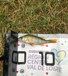 photo prise 40081 par Nico C’