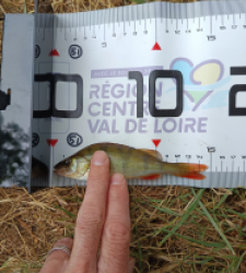 photo prise 40102 par bardiot.christophe