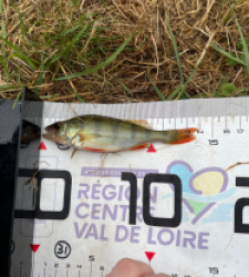 photo prise 40106 par in3s.g2