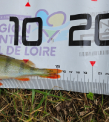 photo prise 40111 par Romain