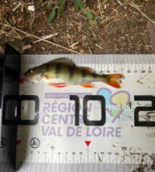 photo prise 40161 par in3s.g2