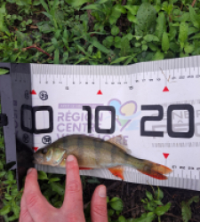 photo prise 40174 par FISH1MAX