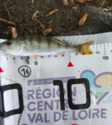 photo prise 40220 par Matéo Cordelet