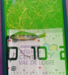 photo prise 40264 par Cletus18