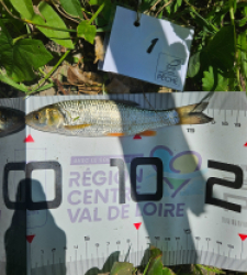 photo prise 40581 par Pecheur d'eau douce