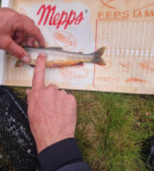 photo prise 41926 par ADRIEN