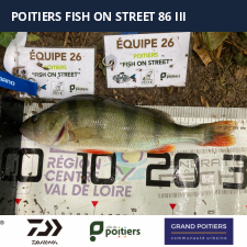 photo prise 42806 par brionquentin.7@gmail.com