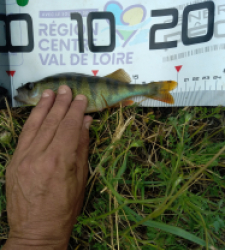 photo prise 43921 par 