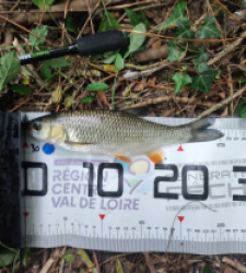 photo prise 43931 par GuiZ viens on pêche