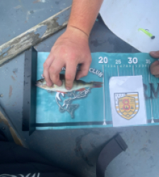 photo prise 44062 par tristan_carnasier_fishing