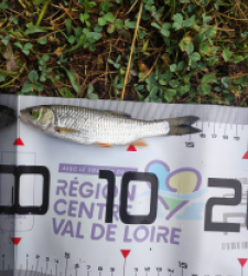 photo prise 44128 par GuiZ viens on pêche