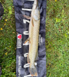 photo prise 45406 par Rimshot12