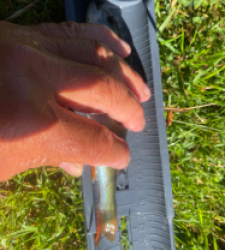 photo prise 45788 par Rimshot12