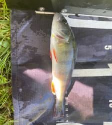 photo prise 45880 par Rimshot12