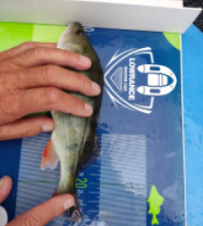 photo prise 46517 par Carna_flo Fishing 