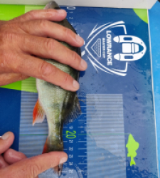 photo prise 46519 par Carna_flo Fishing 