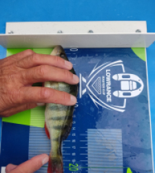 photo prise 46562 par Sologne Production fishing.tv