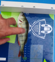 photo prise 46563 par Sologne Production fishing.tv