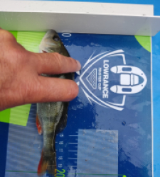 photo prise 46564 par Sologne Production fishing.tv
