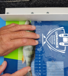 photo prise 46580 par Sologne Production fishing.tv