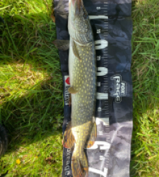 photo prise 47294 par Rimshot12