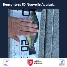 photo prise 47336 par LEMOIGNE Romain