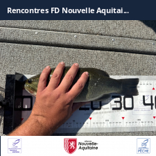 photo prise 47351 par LEMOIGNE Romain