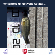 photo prise 47376 par LEMOIGNE Romain