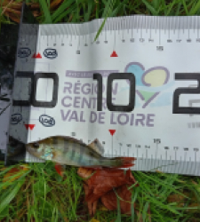 photo prise 47782 par Flo.fishing36 