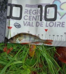 photo prise 47799 par Flo.fishing36 