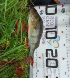 photo prise 47803 par Flo.fishing36 