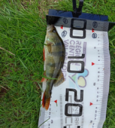 photo prise 47850 par Flo.fishing36 
