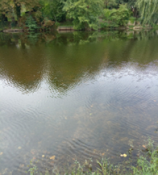 photo prise 47852 par Flo.fishing36 